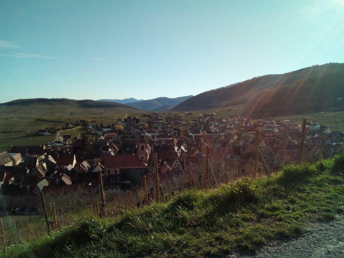 Le Gite De Coco Riquewihr Eksteriør billede